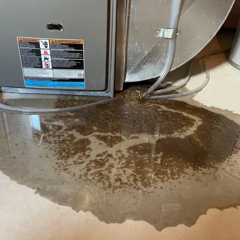 Appliance Leak Cleanup in North Portland, OR